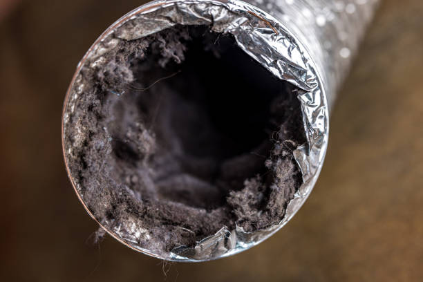 Best Local Air Duct Cleaning Services  in Amityville, NY